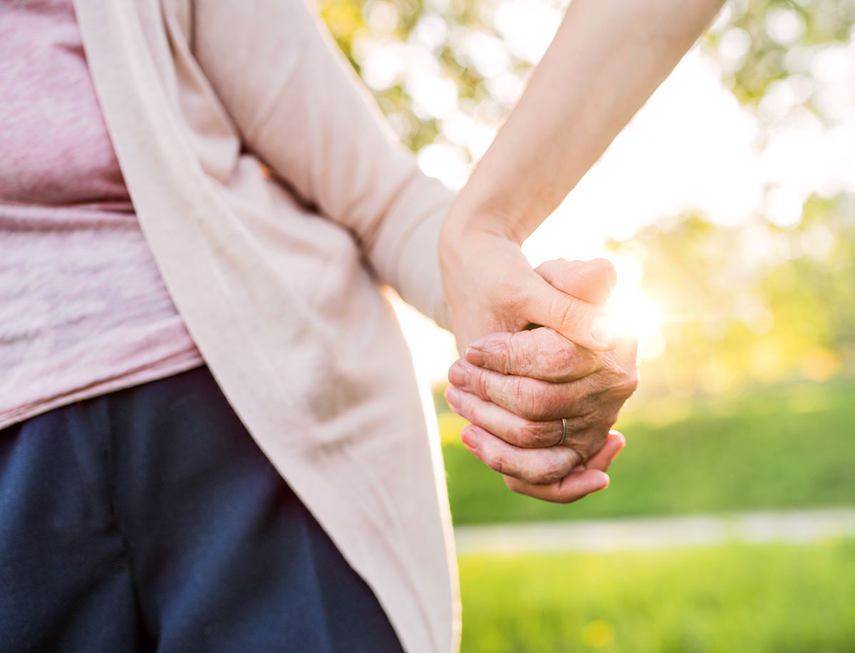 elderly hand holding young hand in park